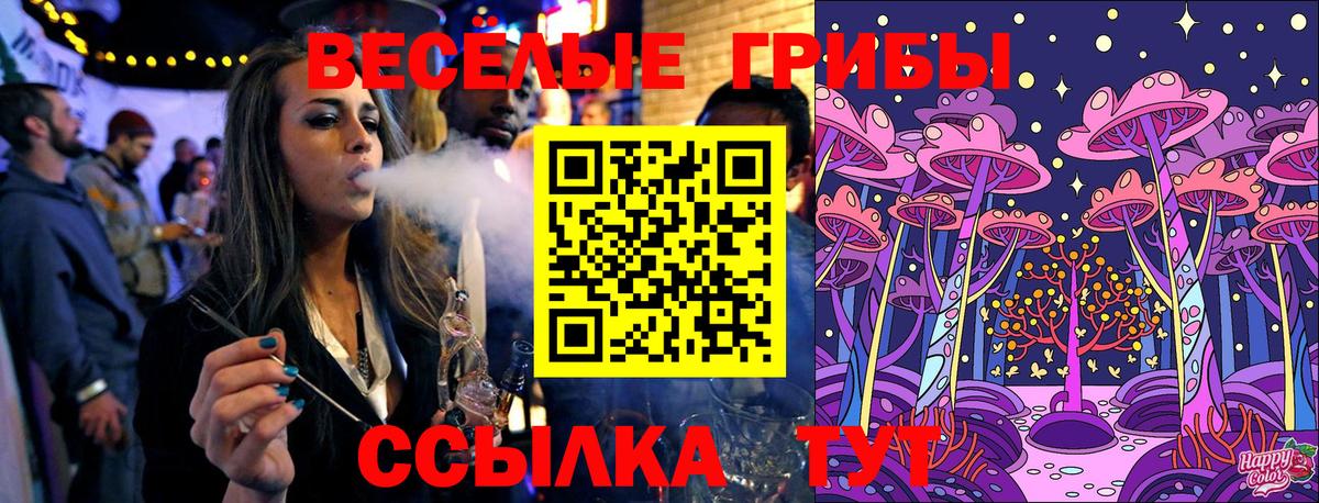 Codein Сыктывкар