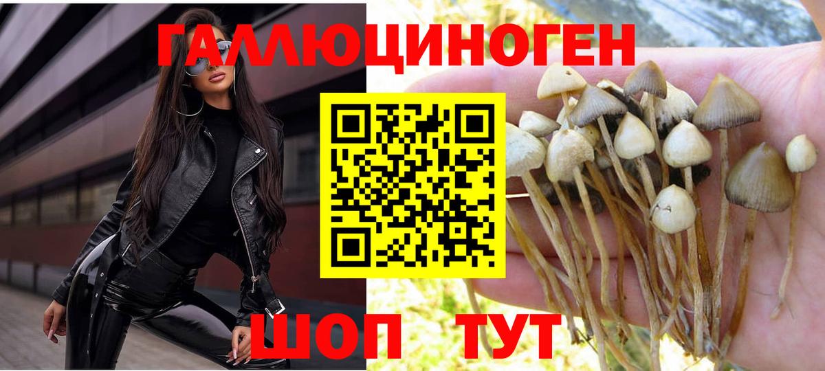 Сыктывкар  Галлюциногенные грибы MAGIC MUSHROOMS  Вход с VPN 